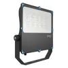 پروژه مهندسی در مقیاس بزرگ، چراغ سیلاب LED 100 وات مخصوص